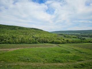 landscape with green grass and blue sky