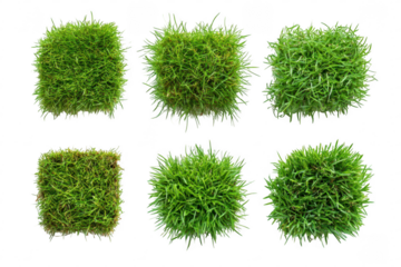 Six square and round patches of green grass isolated on transparent background
