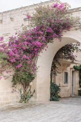 Naklejka premium arch with flowers in an old European Italian town 
