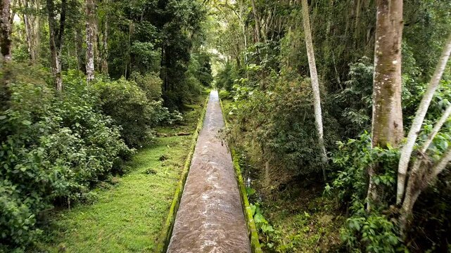 Artificial river on the forest