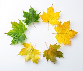 Autumn Maple Leaf Circle: A Serene Fall Arrangement