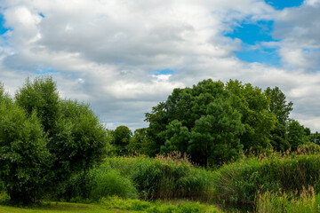Fototapeta premium Serenity found in a lush green landscape by a tranquil waterway under a cloudy sky