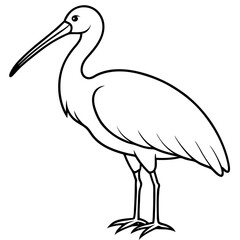 Eurasian Spoonbill Vector on White Background
