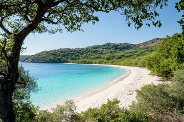 Pristine tropical beach with turquoise water and lush green hills framed by trees