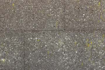 Fototapeta premium Close-up of a natural cork wall showing rough texture, organic patterns, and earthy brown tones. Ideal for backgrounds, eco-friendly design concepts, or sustainable construction themes.