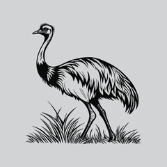 Stylized Bird Walking in Grass