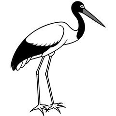 Black-necked Stork Vector on White Background
