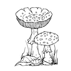 Linear sketch of autumn compositions of fly agaric mushrooms and forest plants. Vector graphics.