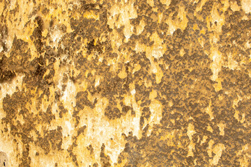 Weathered close-up of old damaged wall with peeling plaster and grunge detail, a rustic urban decay...