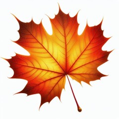 Obraz premium Bright and detailed autumn leaves in vivid colors, isolated on white, ideal for high-quality creative use and autumn-themed compositions.