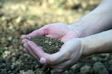 hands holding soil with seeds