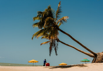 Beach in João Pessoa, Paraíba (Brazil), with leaning coconut trees, a beach vendor, and colorful umbrellas, reflecting the relaxing vibe of Brazil’s northeast. Ideal for travel and lifestyle use.