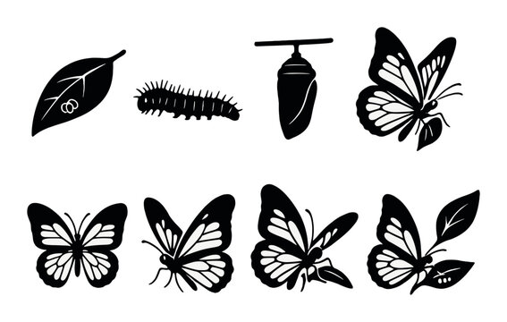 Butterfly life cycle silhouette icons set – nature, insect transformation symbols