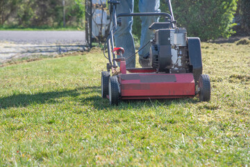 Gardener uses scarifier to remove moss and thatch from lawn improving its health and appearance, Seasonal gardening on a bright sunny spring day, copy space,