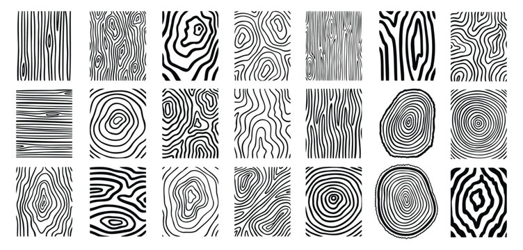 Wood lines texture material doodle hand drawn line set. Rings and circles tree trunk geometric curve, wave contour. 