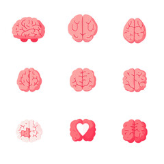 A set of four icons depicting the human brain in pink is featured, showcasing lateral and superior views of the cerebrum, both in a circle and within a head, all in a modern flat style illustration