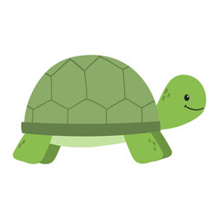 Illustration of a Green Cartoon Turtle