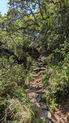 a path in the mountains