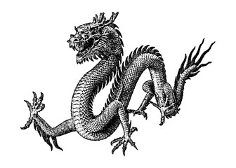 Obraz premium Illustration of a classic Chinese dragon in vintage stipple engraving style isolated on transparent background