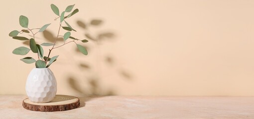 Vase with green eucalyptus branches on beige background with space for text