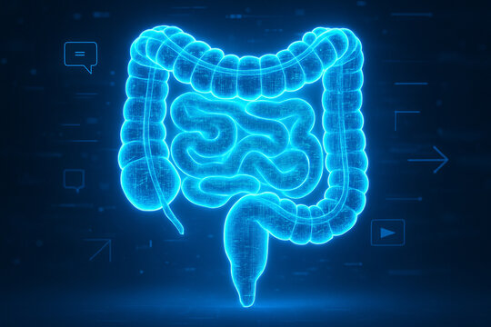 AI generated image of large and small intestines in glowing blue holographic form, combining physical anatomy with futuristic digital UI elements in a cybernetic style