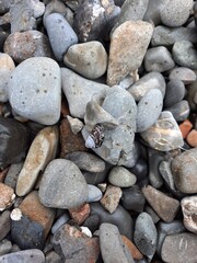 pebbles on the beach