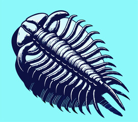 Trilobite Fossil Illustration, Detailed Drawing, Paleontology Art