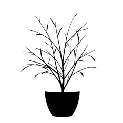 Fototapeta premium Potted Plant Silhouette: A simple black and white line art illustration of a potted plant, showcasing its elegant branches and minimalist design.