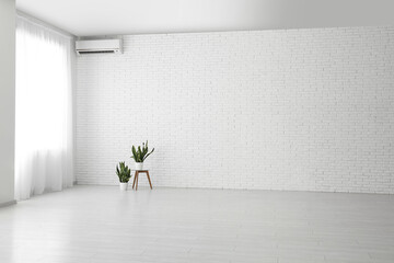 Houseplants in stylish empty room