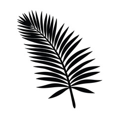 Palm leaf with shadow on sand vector silhouette