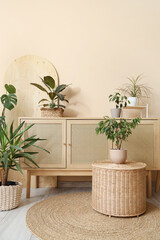 Stylish wooden cabinet with different houseplants near beige wall