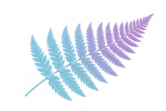 Colorful fern leaf with transparent background, showing a gradient from blue to purple, ideal for nature-themed projects