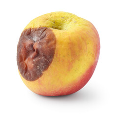 One whole rotten apple isolated on white