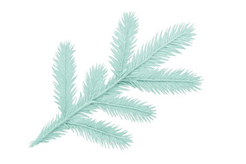 Pine tree branch in soft green hue, isolated on white, highlighting seasonal winter design concept