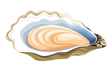 Shellfish Clam Illustration - Vector Illustration