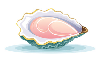 Pink Clam Shell - Vector Illustration