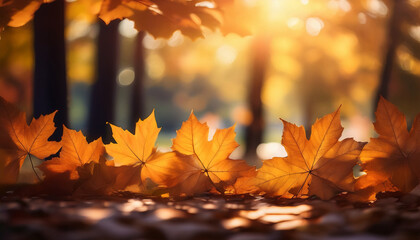 autumn fall leaves background cinematic