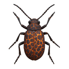 Lava Patterned Bug Render