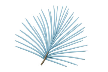 Tropical leaf with light blue needles and brown stem isolated on transparent background, perfect graphic for summer projects