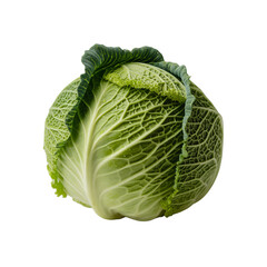 Fototapeta premium cabbage isolated on white and transparent background.