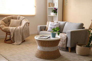 Magazines and houseplant on coffee table in interior of living room