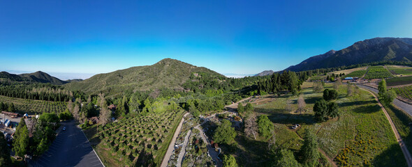 A Beautiful Mountain Scene from the Air with a UAV Drone over a Forest
