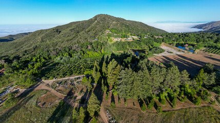 A Beautiful Mountain Scene from the Air with a UAV Drone over a Forest