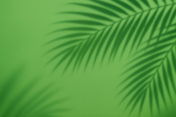 Obraz premium Abstract green background with the shadow of palm leaves, tropical and minimalist