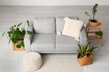 Interior of living room with sofa, stool and plants in wicker baskets, top view