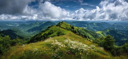 Majestic Mountain Range Landscape With Lush Vegetation