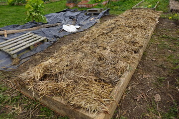 Raised Wooden Garden Bed with Straw Mulch for Soil Protection