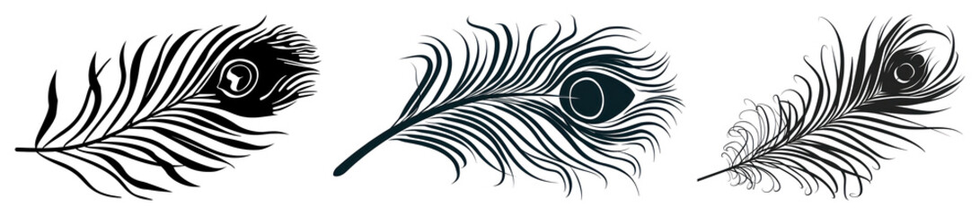 Fototapeta premium PNG Peacock feather flying silhouette black white, transparent background