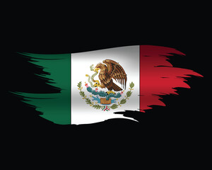 Abstract brush art mexico flag design vector