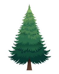 Fototapeta premium Symmetrical pine tree illustration